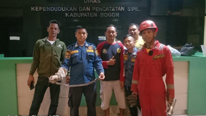 Petugas Damkar Kabupaten Bogor evakuasi ular kobra di Kantor Disdukcapil
