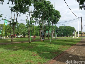 Viral Pemuda di Probolinggo Rusak Fasilitas Taman Semeru dan Alun-alun