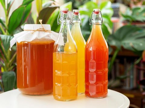 Fakta teh kombucha