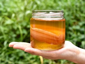 Kombucha dan Teh Hijau Sama-sama Sehat, Tapi Mana Lebih Unggul?