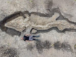 Fosil Naga Laut Terbesar dan Terlengkap Ditemukan di Inggris