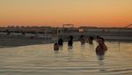Potret Cantiknya Infinity Pool di Bandara John F. Kennedy