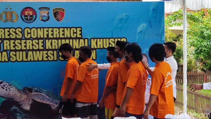 Konferensi pers penyelundupan penyu di Makassar (Hermawan Mappiwali/detikcom)