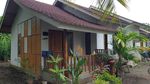 Momen Jokowi Tinjau Homestay Murah di Mandalika