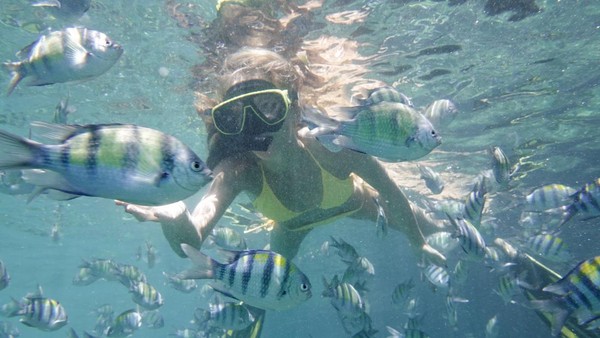 Maya Bay di Phi Phi Island juga dibuka lagi setelah sempat tutup karena pandemi. Dengan snorkeling, wisatawan bisa bercumbu dengan ikan-ikan di sana.  (Getty Images/4FR)