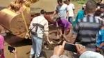 Ngeri! Sanca Kembang 3 Meter Nongol saat Sungai Dibersihkan