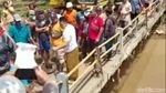 Ngeri! Sanca Kembang 3 Meter Nongol saat Sungai Dibersihkan