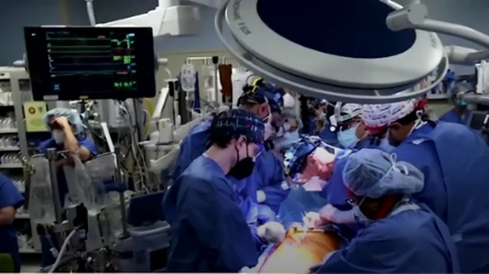 Menelisik Pemicu Meninggalnya Pasien Cangkok Jantung Babi Pertama di Dunia