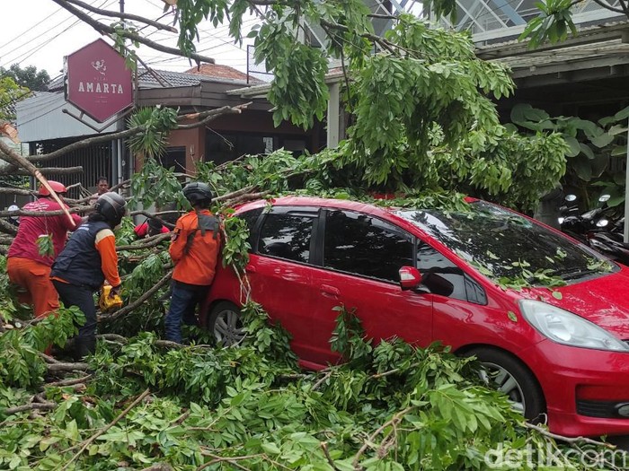 Pohon tumbang timpa tiga mobil di Jalan Pleburan Barat Raya, Selasa (11/1/2022).
