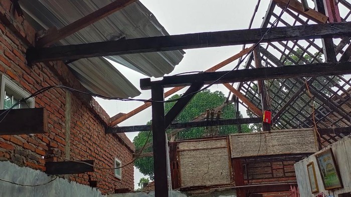 Hujan deras disertai angin puting beliung menerjang dua desa di Kecamatan Megaluh, Jombang. Akibatnya, dua pohon tumbang menutup jalan antarkecamatan, serta 31 rumah warga rusak.