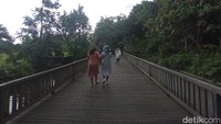 Begitu masuk, kamu akan dimanjakan dengan pemandangan hijau nan asri. (Bonauli/detikcom)