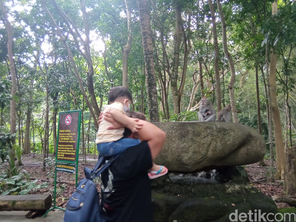 Sacred Monkey Forest Sanctuary di Ubud