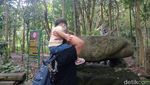 Sacred Monkey, Hutan Monyet Paling Favorit di Ubud