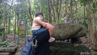 Jangan kaget kalau bertemu meonyet-monyet liar, kamu bisa berfoto asalkan memiliki jarak yang tidak terlalu dekat. (Bonauli/detikcom)