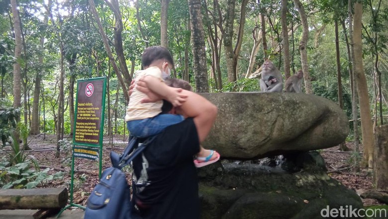 Sacred Monkey Forest Sanctuary di Ubud Sacred Monkey Forest Sanctuary di Ubud