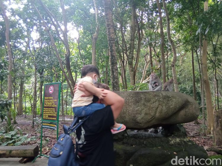 Sacred Monkey, Hutan Monyet Paling Favorit di Ubud