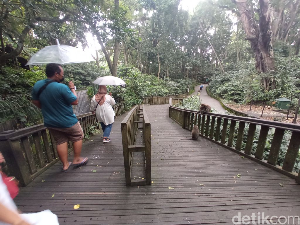 Sacred Monkey Forest Sanctuary di Ubud