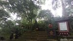 Sacred Monkey, Hutan Monyet Paling Favorit di Ubud