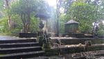 Sacred Monkey, Hutan Monyet Paling Favorit di Ubud