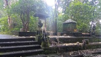 Monyet-monyet di sana diberi makan jagung dan umbi-umbian. (Bonauli/detikcom)
