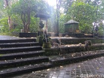 Monkey Forest Ubud: Harga Tiket, Jam Buka, dan Daya Tariknya