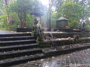 Monkey Forest Ubud: Harga Tiket, Jam Buka, dan Daya Tariknya