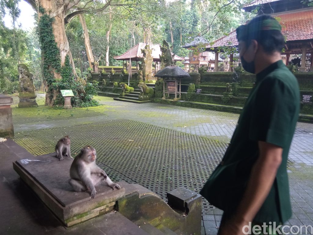 Sacred Monkey Forest Sanctuary di Ubud