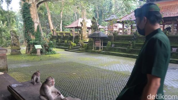 Sacred Monkey Forest Sanctuary di Ubud