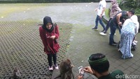 Kalau mau berfoto bersama monyet, harus dengan pengawasan staff ya! (Bonauli/detikcom)