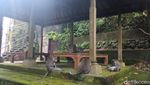 Sacred Monkey, Hutan Monyet Paling Favorit di Ubud