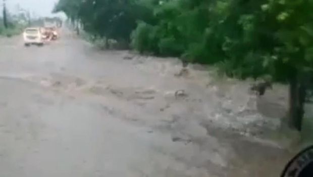 banjir di baluran hoax