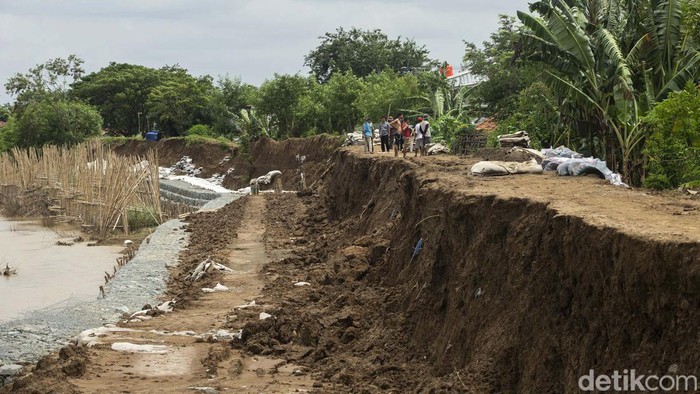 Tanggul Sungai Citarum di Desa Lenggah Jaya, Cabangbungin, Kabupaten Bekasi, longsor. Begini kondisinya.