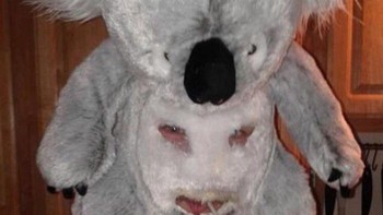 Kostum koala yang menyeramkan. Foto: Twitter.com/cursedimage