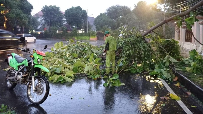 Jakarta diguyur hujan deras dan angin kencang