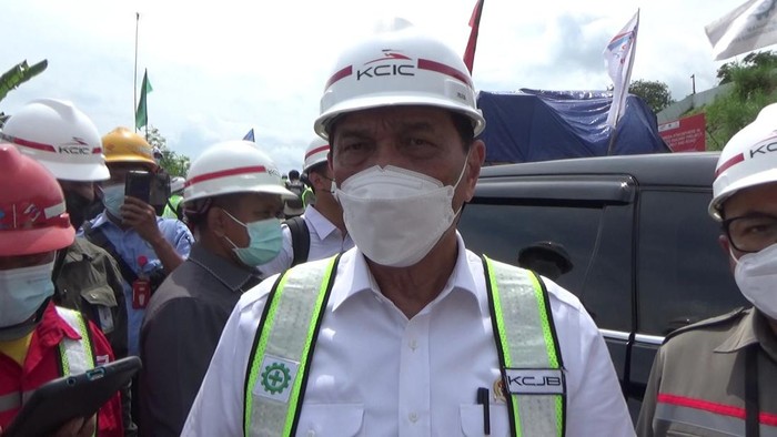 Infografis  sederet tugas Menko Luhut Binsar Pandjaitan