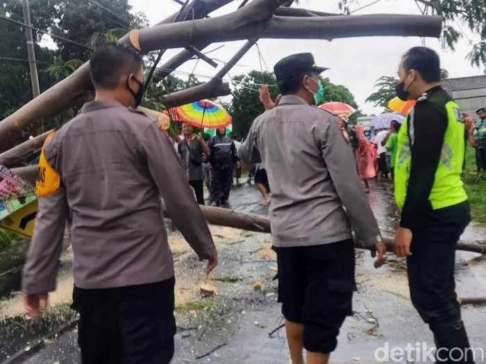 Seorang anggota TNI asal Bondowoso tewas setelah mobil yang ditumpanginya tertimpa pohon. Pohon tumbang setelah terjadi hujan deras disertai angin kencang.