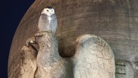 Jauh dari pembiakan musim panasnya di Kanada, burung hantu bersalju pertama kali terlihat pada 3 Januari, hari ketika badai musim dingin menumpahkan salju setebal delapan inci di kota.