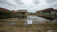 Selain rusak, sebagian area sekolah juga tergenang dan ditumbuhi tanaman liar.
