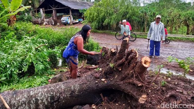 angin kencang di banyuwangi