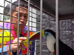 8 Potret Kebun Binatang Mini di Rumah Crazy Rich Malang, Koleksinya Mewah