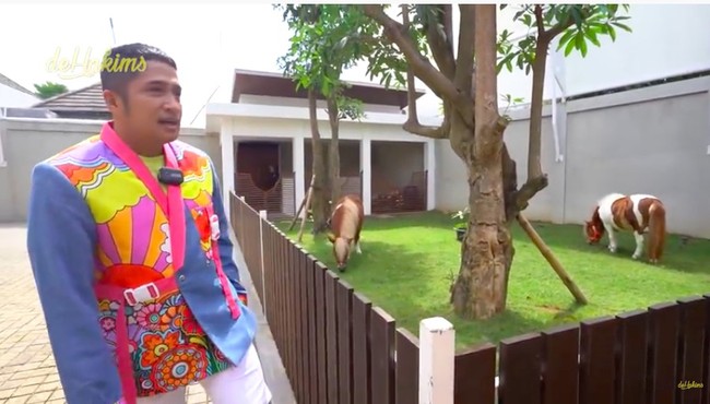 Di sebelah rumah kaca yang menjadi kandang kucing, terdapat pula rumah untuk dua kuda poni. Bernama Silvia dan Ana, dua kuda betina itu dibeli seharga Rp 150 juta. (Foto: YouTube/deHakims)
