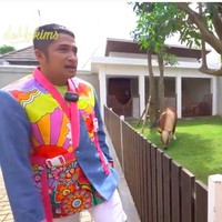 Di sebelah rumah kaca yang menjadi kandang kucing, terdapat pula rumah untuk dua kuda poni. Bernama Silvia dan Ana, dua kuda betina itu dibeli seharga Rp 150 juta. (Foto: YouTube/deHakims)