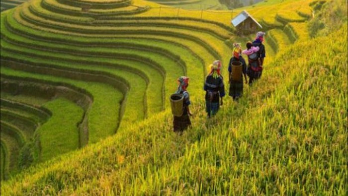 Membedah Potensi dan Tantangan Dana Desa Tahun 2022