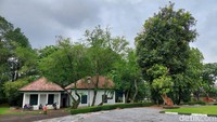 Rumah ini memiliki warna cat putih dan pintu bersama jendelanya di cat berwarna hijau.