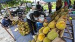 Durian Kasongan Khas Kalteng Lagi Musim Nih