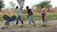 Penegakan hukum yang lemah, kemiskinan yang meluas, serta praktik budaya dan agama, menjadi faktor meningkatnya jumlah pernikahan dini di Zimbabwe. Adanya pandemi memperparah situasi.