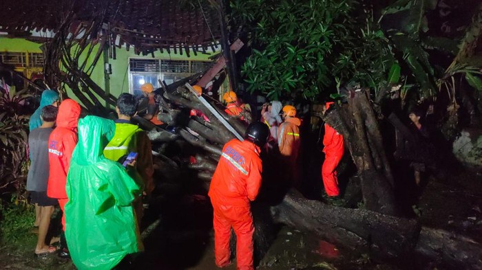Pohon tumbang di Bekasi (dok. Istimewa)