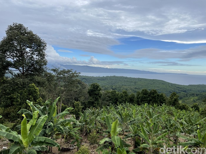 Puncak Robin Sukabumi