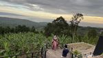 Foto Destinasi Super Cantik, Berawal dari Tempat Isoman Covid