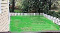 Tak ada rumput, spidol pun jadi. Inilah cara biar rumput di rumah sehijau rumput tetangga nih. Perlu dicoba.